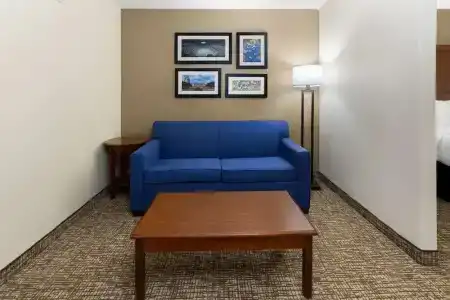 Microtel Inn & Suites by Wyndham College Station - 56
