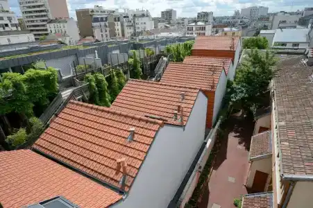Terre Neuve - 59