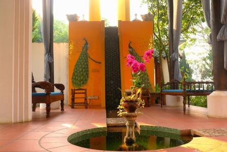 Rosario Oasis Sha Plus - 41