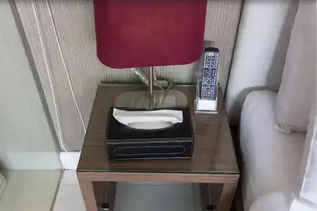 The Luxe - 34