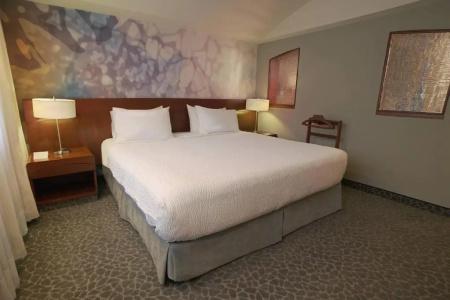 Courtyard by Marriott Mexico City Revolucion - 89