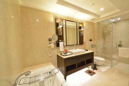 Ramada Plaza Chennai - 9