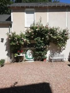 Hôtel Du Manoir - 16