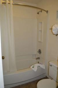Bluegrass Extended Stay - 32