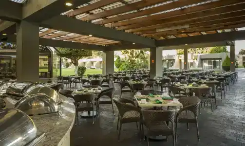 Camino Real Guadalajara - 26