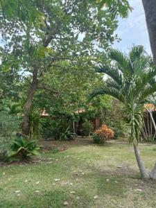 Ban Ban Bangalow - 10