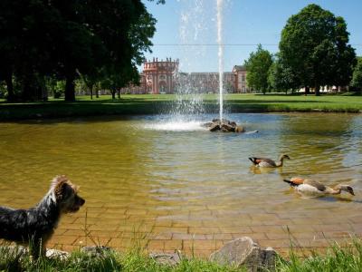 Uno Am Schlosspark - 11