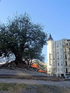 Plaza Roma - 39