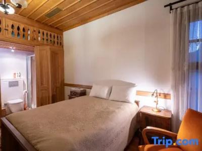 Cedrus - 179