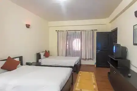 Thamel Eco - 100
