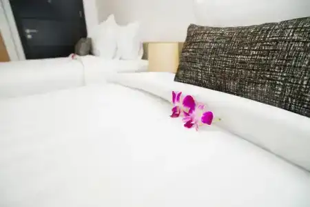 Pumeria Resort Phuket - Sha Plus - 53