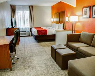 Comfort Suites South - 48