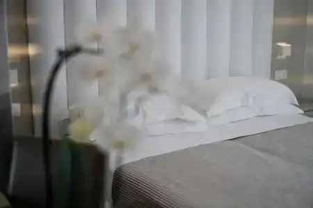 Stella d'Oro - 325