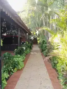 Sea Breeze Inn, Calangute by Apricus - 24