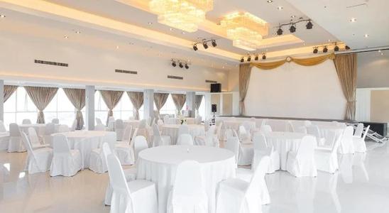 Top View - Sha Extra Plus - 22