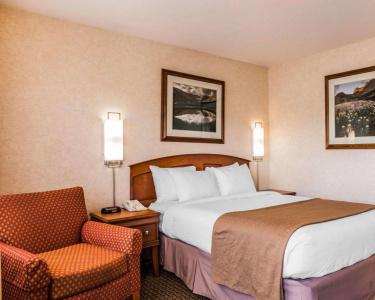 Quality Inn - 52