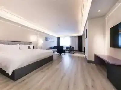 Mercure Xi'an Qujiang - 37