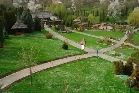 Карпаты - 10