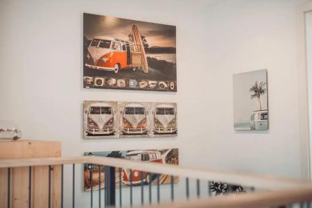 Eco Boutique Ams Beagle - 66