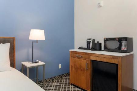 Hilton Garden Inn Dallas/Market Center - 53