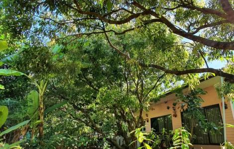 Warakorn Baansuan - 14