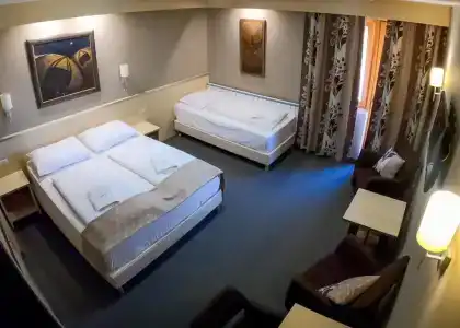 Vineyard Inn - Szőlőskert - 31
