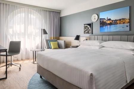 Swissotel Le Plaza Basel City - 62