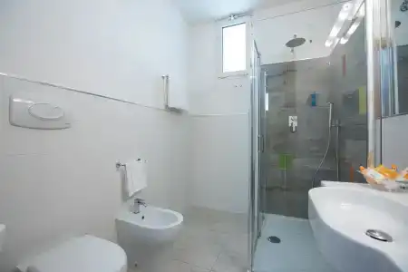Flamingo - 9