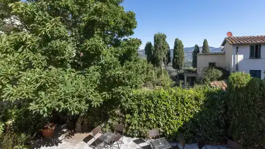 Bonelli - 11