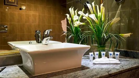 Best Western Plus - 10