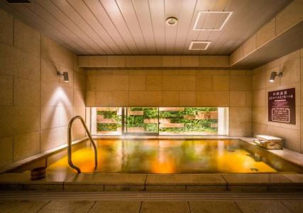 Natural Hot Springs Shikisai no Yu Super Premier Osaka Honmachi Ekimae - 11