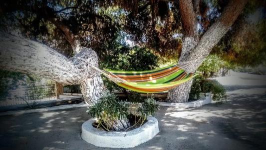 Pefkides Aegina Boutique - 40