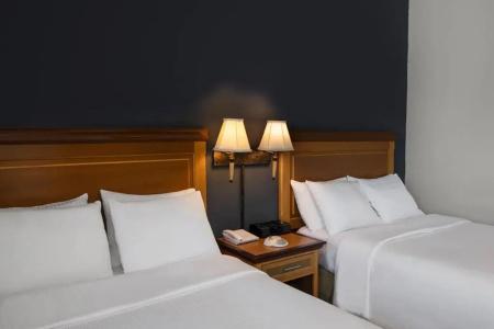 Hodelpa Garden Suites - 71