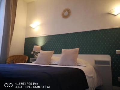 Hôtel Trianon Tours - 43