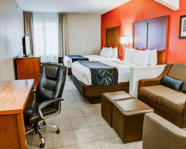 Comfort Suites South - 48