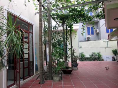 Sen Hai Phong - 7