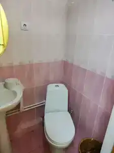 Алмаз - 11