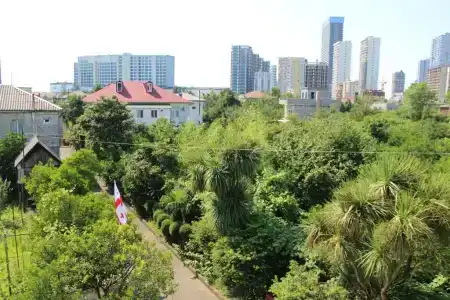 Green House - 21