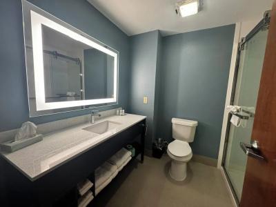 Microtel Inn & Suites by Wyndham College Station - 40
