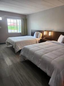 Royal Inn - 56