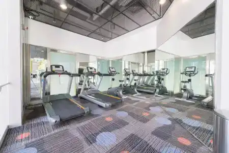 Y Loft - 15
