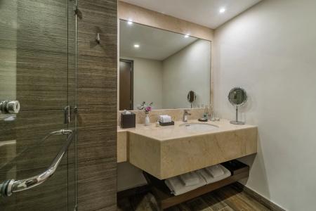 Hyatt Regency Merida - 7