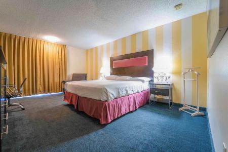 Royal Plaza Inn - 110