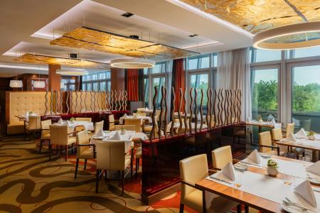 Hilton Frankfurt Airport - 31