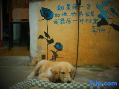 Third Ji International Youth Hostel - 5