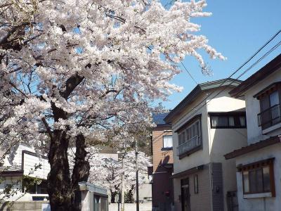 Tsubakikan - 0