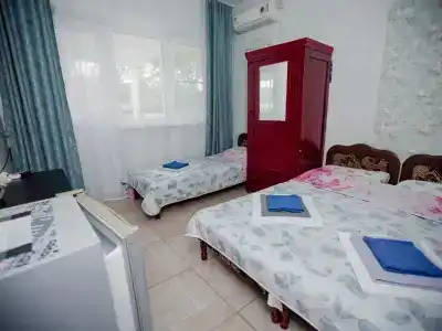 Guest House Green Oasis + - 12