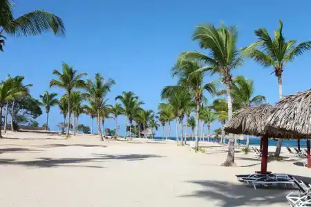 Bahia Principe Luxury Bouganville - Adults Only All Inclusive - 19