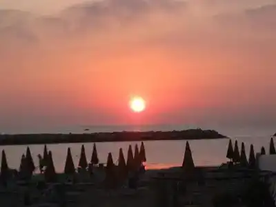 Stella d'Oro - 9