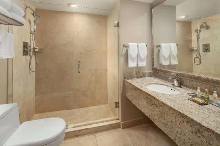 DoubleTree by Hilton Grand Biscayne Bay - 53